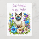 Suche nach siamese cat postkarten Blumenreich
