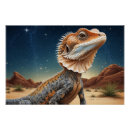 Suche nach lizards poster Amphibien
