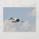 Suche nach storch postkarten Vogel