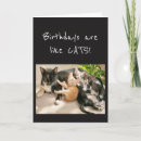 Suche nach katzen geburtstags karten Lustig
