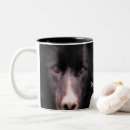 Suche nach collie tassen Hund