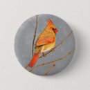 Suche nach roter kardinal buttons Winter