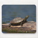 Suche nach schildkröte muschel mousepads Natur