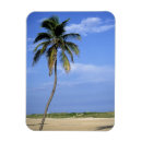 Suche nach miami beach florida magnete Sommer