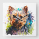 Suche nach yorkshire terrier kunst poster Aquarell