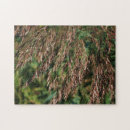 Suche nach grasen puzzle Natur