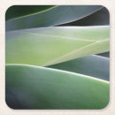 Suche nach agave untersetzer Natur