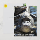 Suche nach turtles postkarten Foto