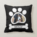 Suche nach tatze kissen Foto