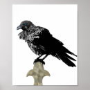 Suche nach corvid poster Bird