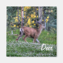 Suche nach hirsch magnete Tierwelt