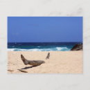 Suche nach boca postkarten Strand