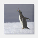Suche nach kalte temperatur magnete Pinguin