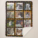Suche nach katze decken Fotocollage