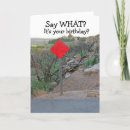 Suche nach lustige geburtstagswünsche karten Für ihn