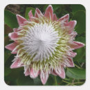 Suche nach gigantisch aufkleber Blume