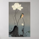 Suche nach kingfish poster Vögel