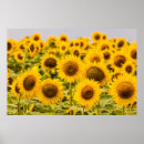 Suche nach betriebe poster Sommer