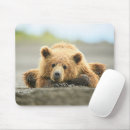 Suche nach grizzlybär mousepads Braunbär