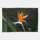 Suche nach tropische vögel geschirr tücher Blume