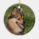 Suche nach keuchen ornamente Spitz
