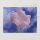 Suche nach 16 geburtstag postkarten Blume