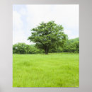 Suche nach schmecken poster Natur