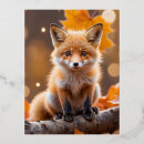 Suche nach glücklicher fuchs postkarten Lustig