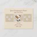 Suche nach jack russell visitenkarten Welpe