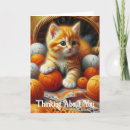 Suche nach orange katze alle karten Freundschaft