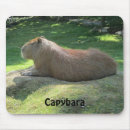Suche nach capybara mousepads Wild