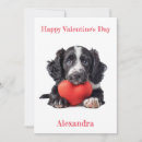 Suche nach cocker spaniel hunde karten Hundefreund