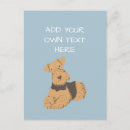 Suche nach luftblasen poster Hund