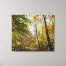 Suche nach herbstwald leinwandbilder Bäume