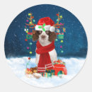 Suche nach springer aufkleber Englisch springer spaniel