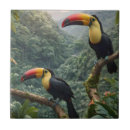 Suche nach toucans fliesen Bunt