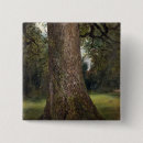 Suche nach stammes buttons Baum