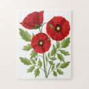 Suche nach mohn puzzle Blume