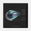 Suche nach muskeln magnete Menschen