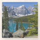 Suche nach niemand untersetzer Baum