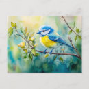 Suche nach blaumeisen postkarten Vogel