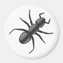 Suche nach ameisen magnete Tier