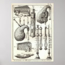 Suche nach dudelsack poster Unverschämt