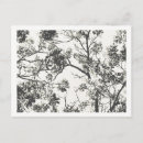 Suche nach schwarze silhouette postkarten Baum
