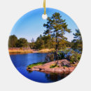 Suche nach weihnachten in schweden ornamente Landschaft