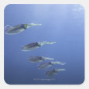 Suche nach teamwork aufkleber Tiere