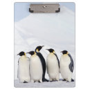Suche nach pinguin klemmbrett Tier