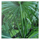 Suche nach pflanzen fliesen Wachstum