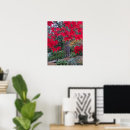 Suche nach ahornblatt poster Naturfotografie