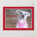 Suche nach hundeliebhaber postkarten Hundefreunde